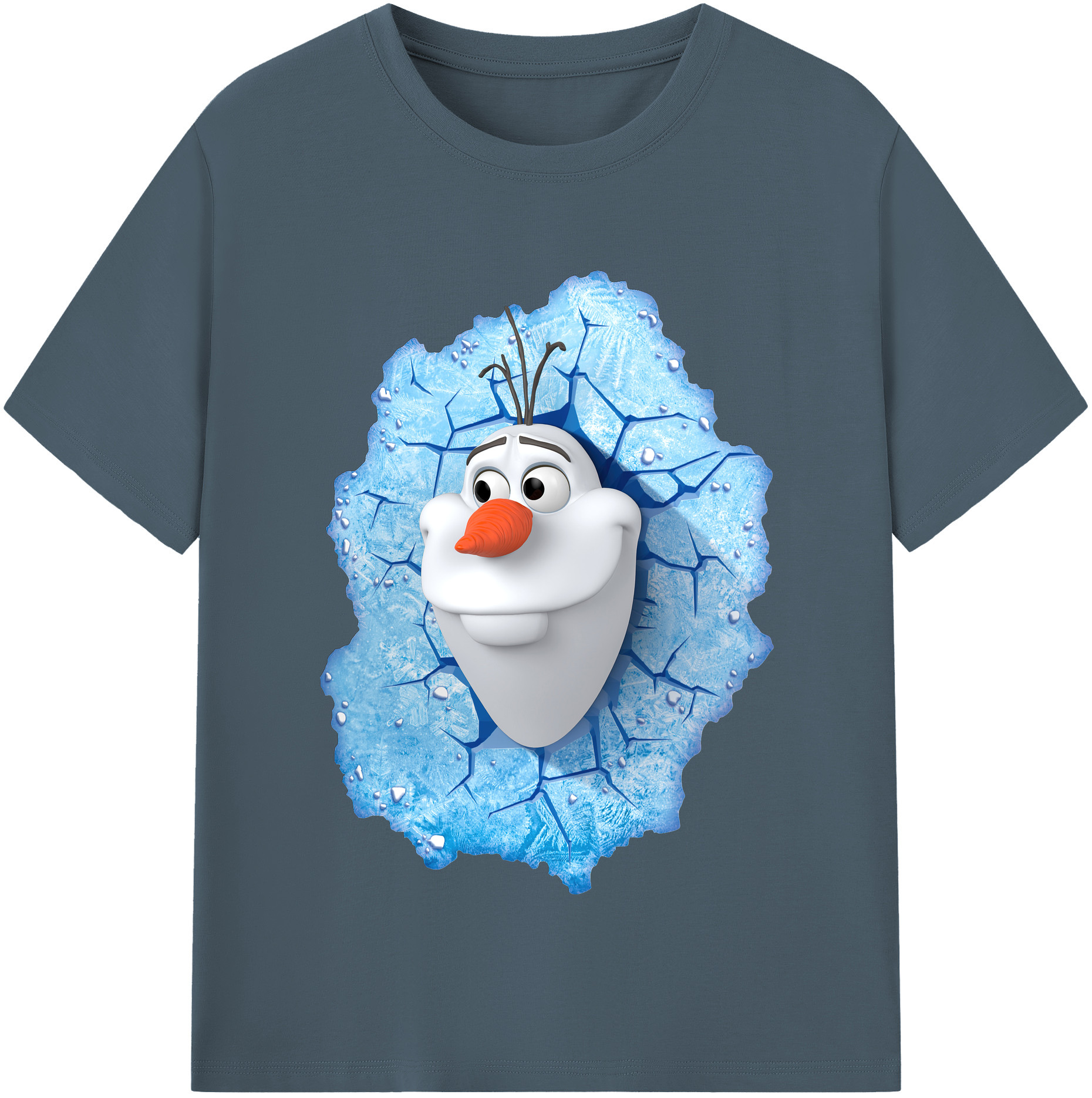（画像用） アナと雪の女王 アンナ エルサ Frozen Anna Elsa 綿100％半袖Tシャツ（フロントプリント）